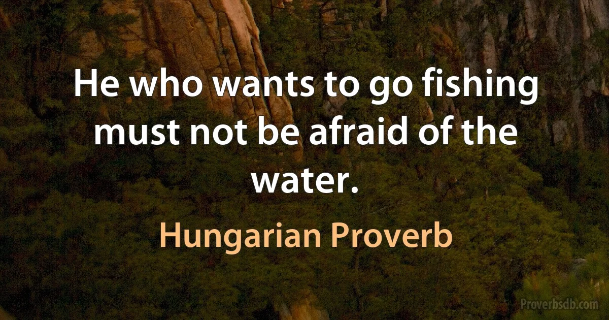 He who wants to go fishing must not be afraid of the water. (Hungarian Proverb)