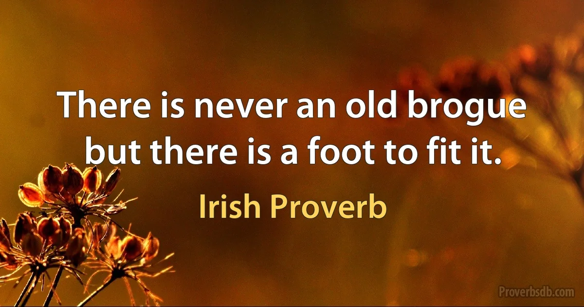 There is never an old brogue but there is a foot to fit it. (Irish Proverb)