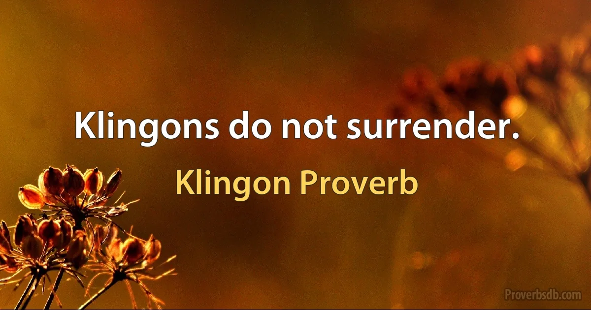 Klingons do not surrender. (Klingon Proverb)