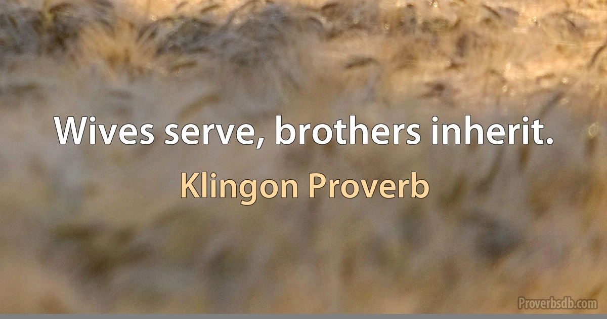 Wives serve, brothers inherit. (Klingon Proverb)