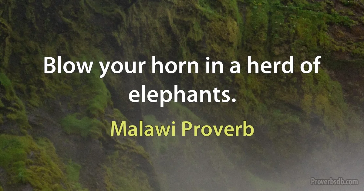 Blow your horn in a herd of elephants. (Malawi Proverb)