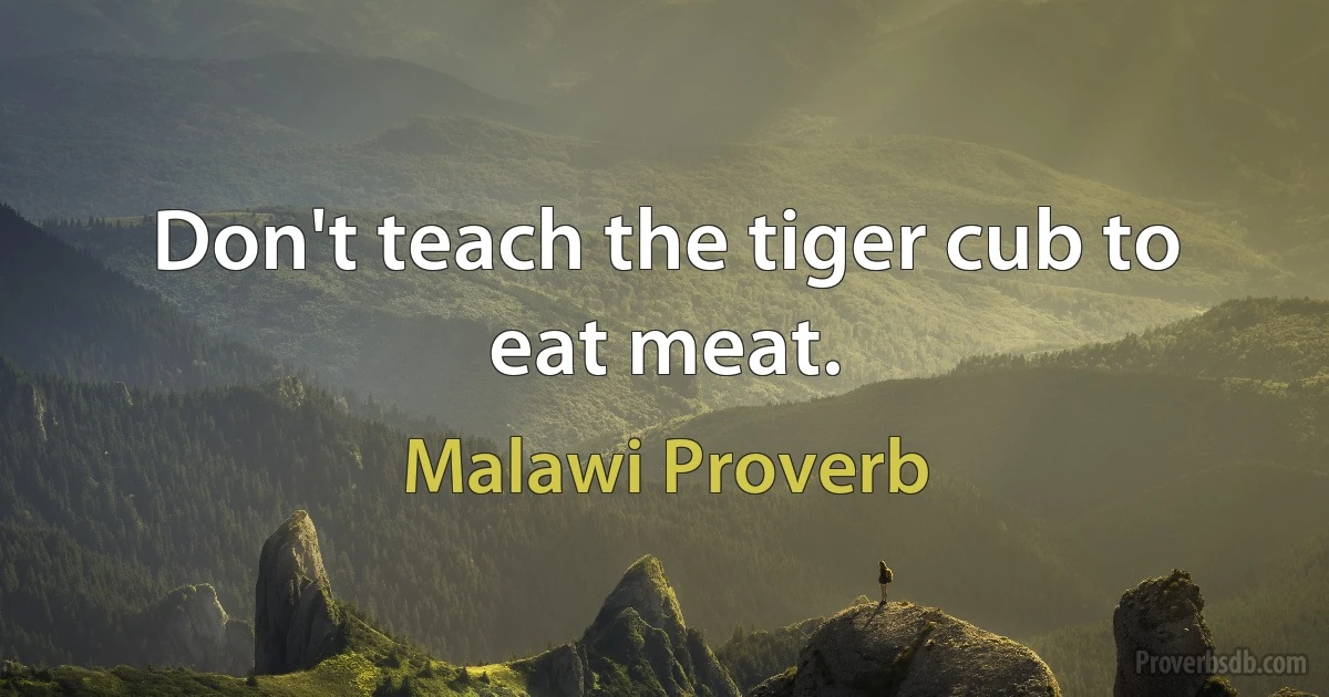 Don't teach the tiger cub to eat meat. (Malawi Proverb)