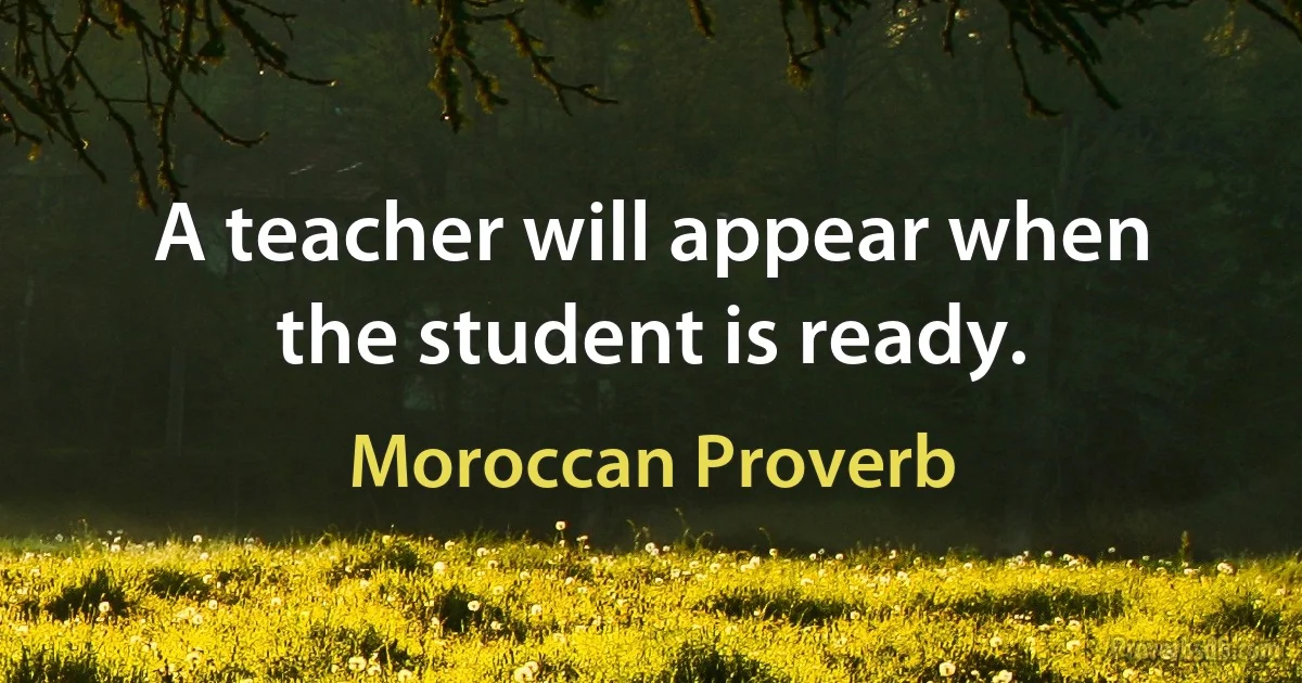 A teacher will appear when the student is ready. (Moroccan Proverb)