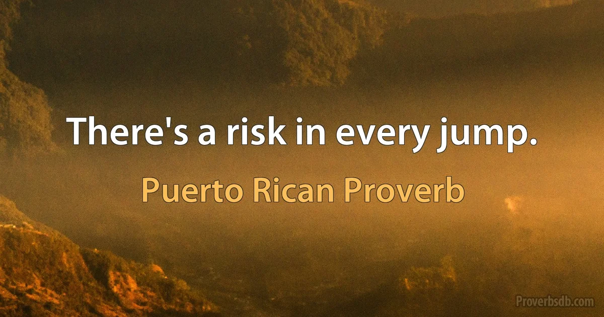 There's a risk in every jump. (Puerto Rican Proverb)