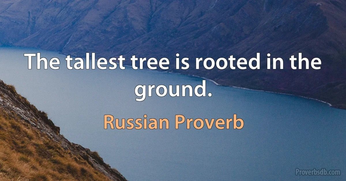 The tallest tree is rooted in the ground. (Russian Proverb)