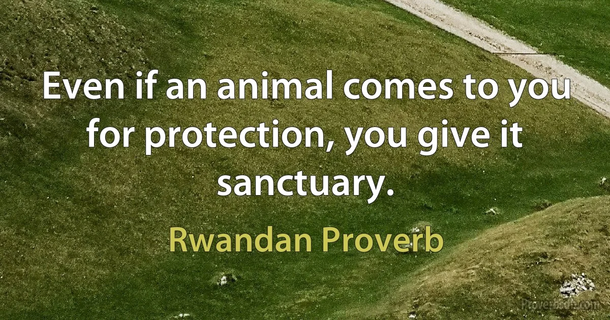 Even if an animal comes to you for protection, you give it sanctuary. (Rwandan Proverb)