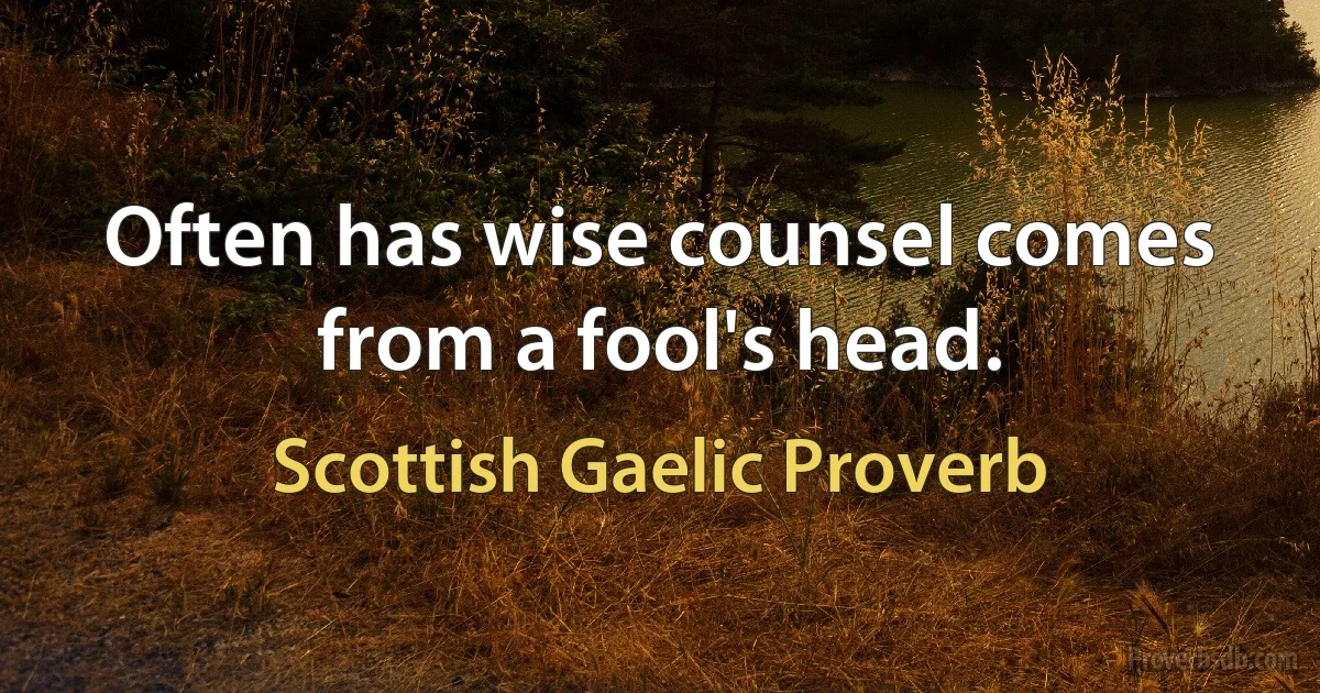 Often has wise counsel comes from a fool's head. (Scottish Gaelic Proverb)