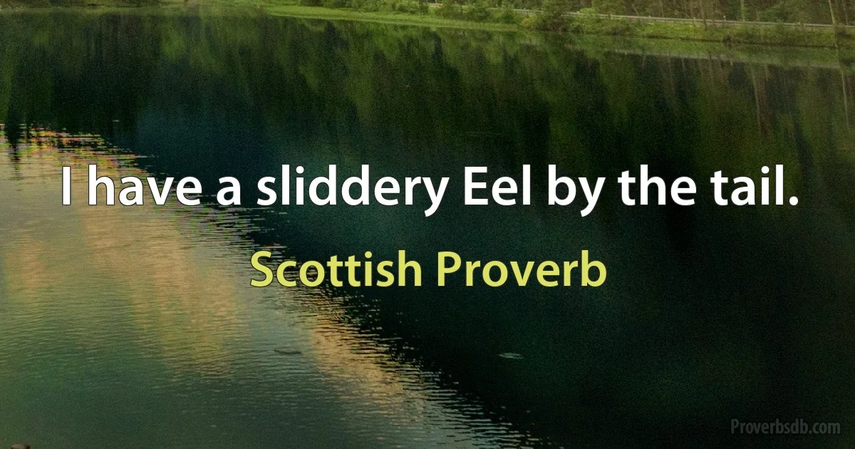 I have a sliddery Eel by the tail. (Scottish Proverb)