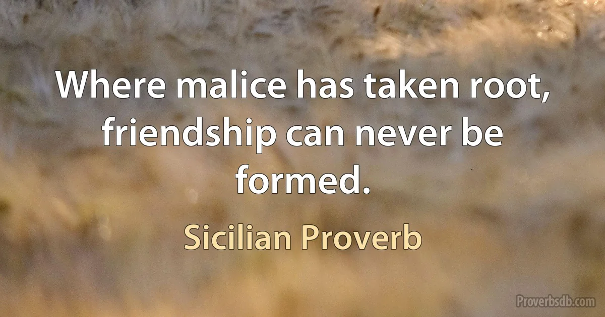 Where malice has taken root, friendship can never be formed. (Sicilian Proverb)