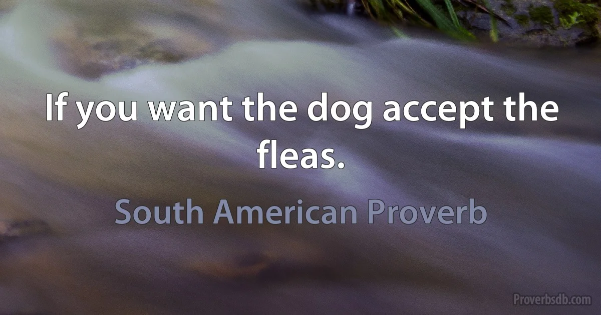 If you want the dog accept the fleas. (South American Proverb)