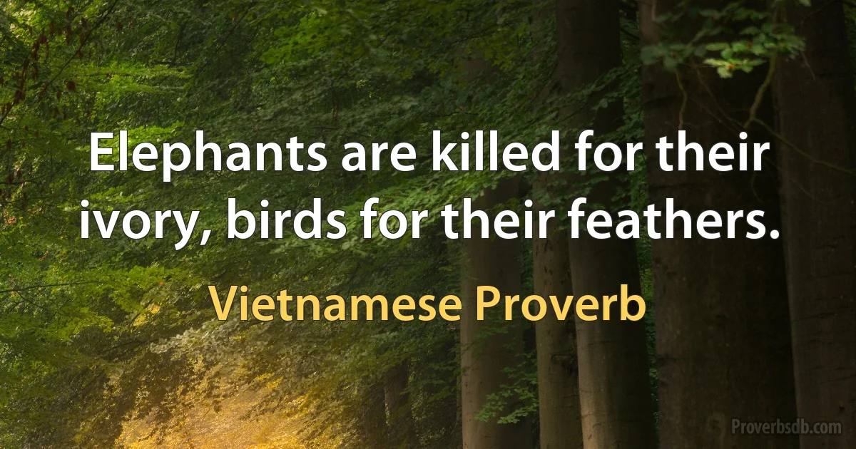 Elephants are killed for their ivory, birds for their feathers. (Vietnamese Proverb)