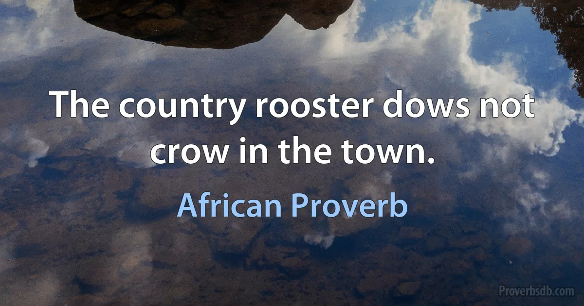 The country rooster dows not crow in the town. (African Proverb)