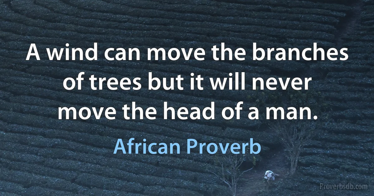 A wind can move the branches of trees but it will never move the head of a man. (African Proverb)