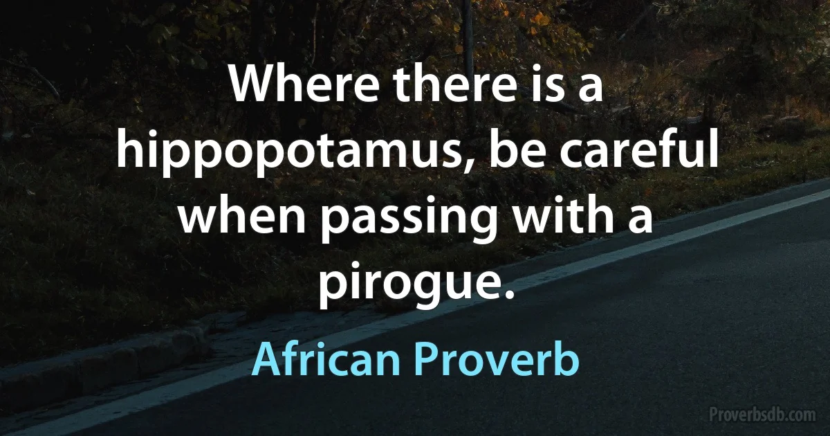 Where there is a hippopotamus, be careful when passing with a pirogue. (African Proverb)