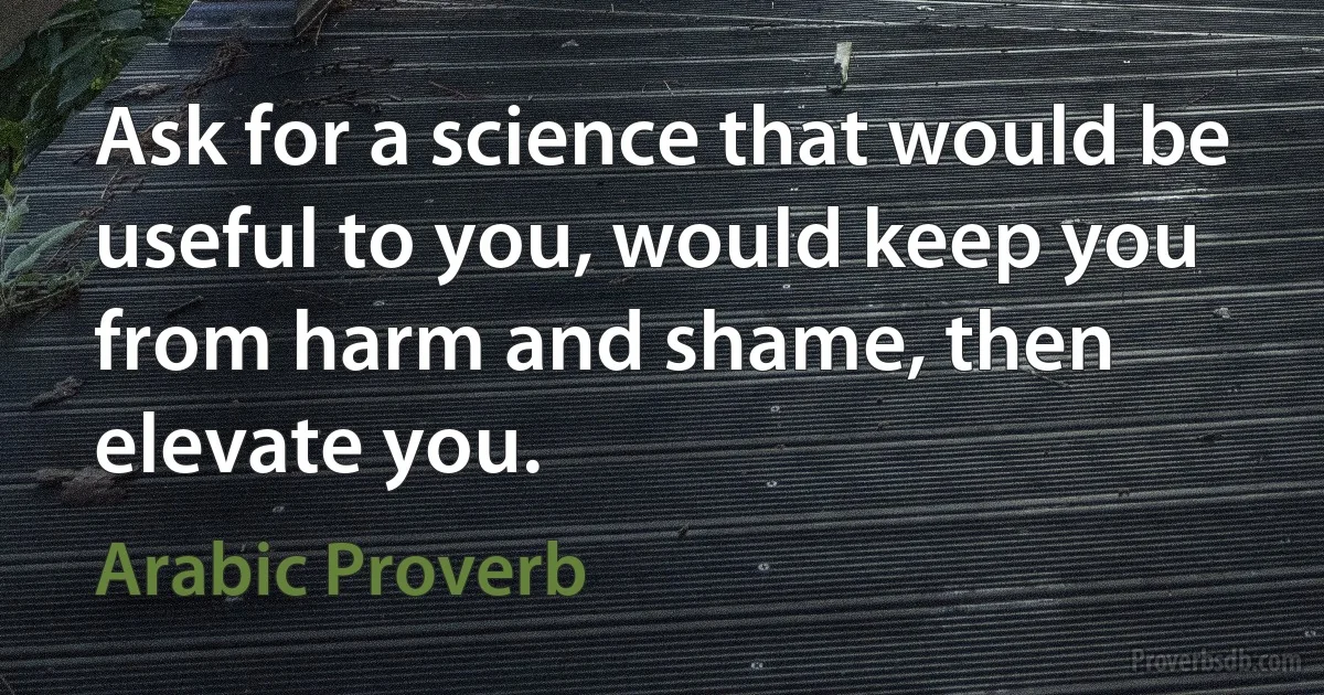 Ask for a science that would be useful to you, would keep you from harm and shame, then elevate you. (Arabic Proverb)