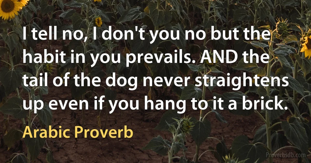 I tell no, I don't you no but the habit in you prevails. AND the tail of the dog never straightens up even if you hang to it a brick. (Arabic Proverb)