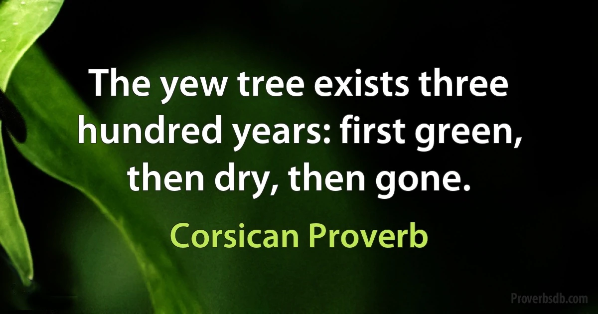 The yew tree exists three hundred years: first green, then dry, then gone. (Corsican Proverb)