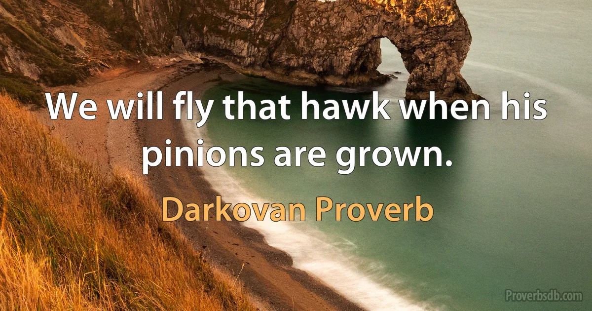 We will fly that hawk when his pinions are grown. (Darkovan Proverb)