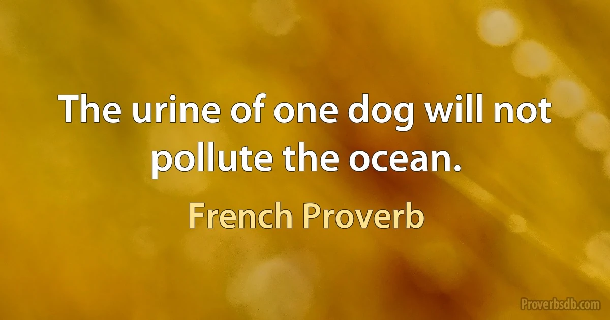 The urine of one dog will not pollute the ocean. (French Proverb)