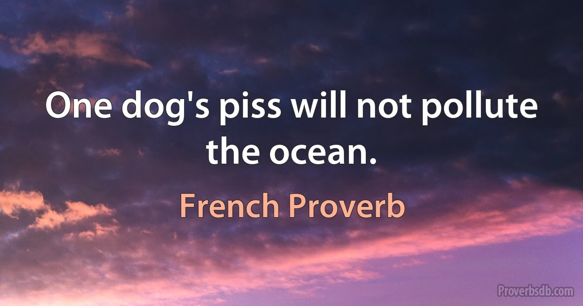 One dog's piss will not pollute the ocean. (French Proverb)