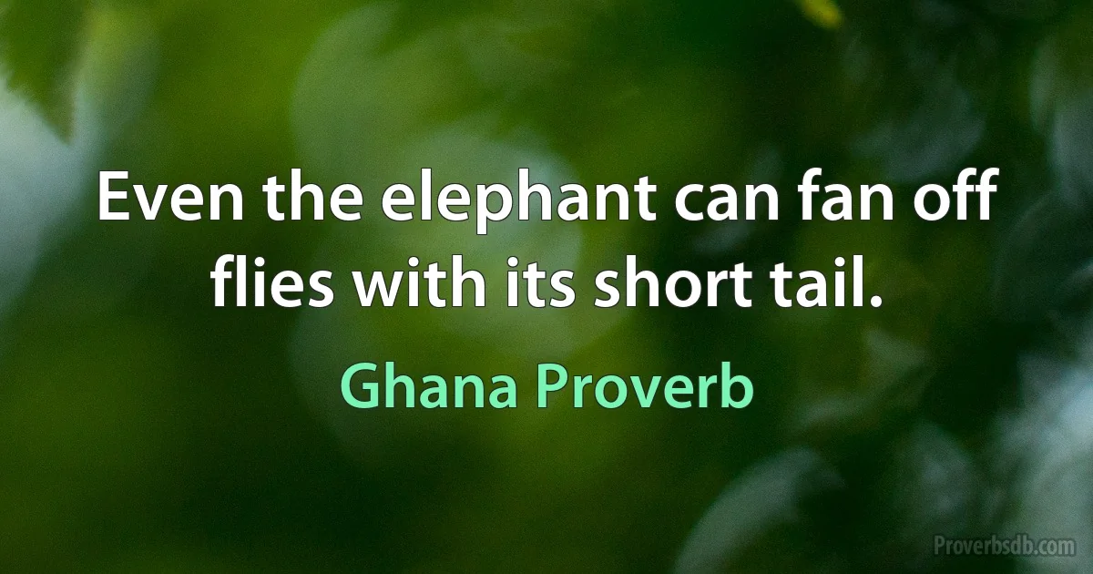 Even the elephant can fan off flies with its short tail. (Ghana Proverb)