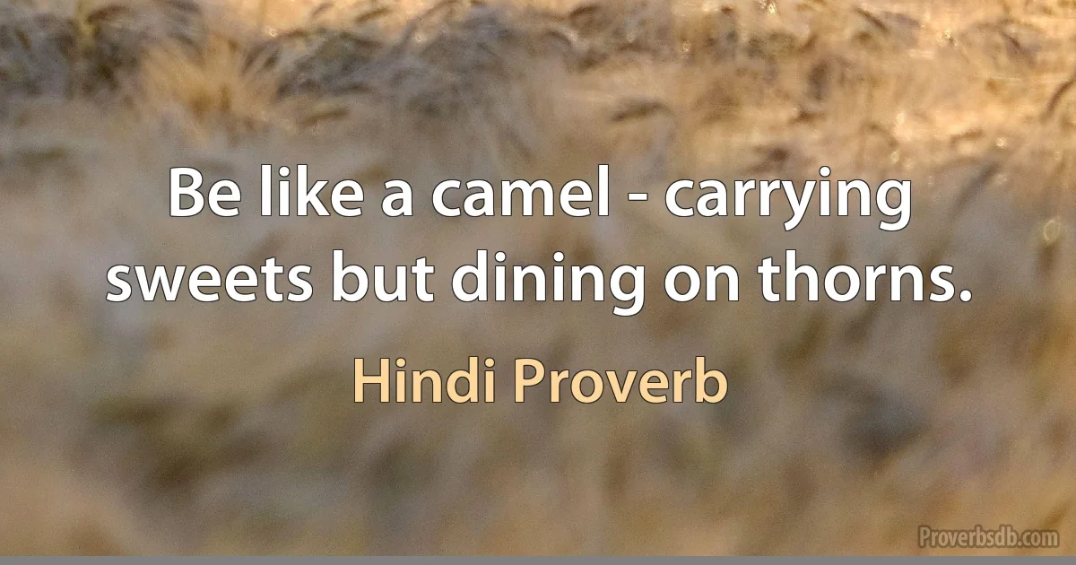 Be like a camel - carrying sweets but dining on thorns. (Hindi Proverb)