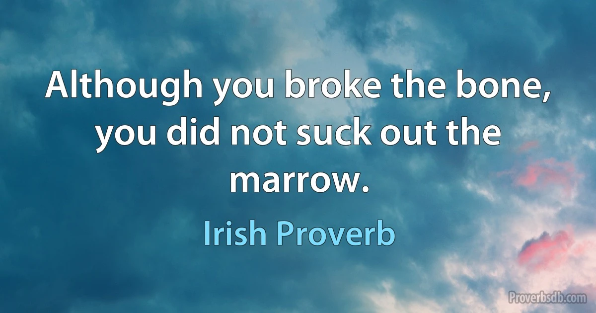 Although you broke the bone, you did not suck out the marrow. (Irish Proverb)