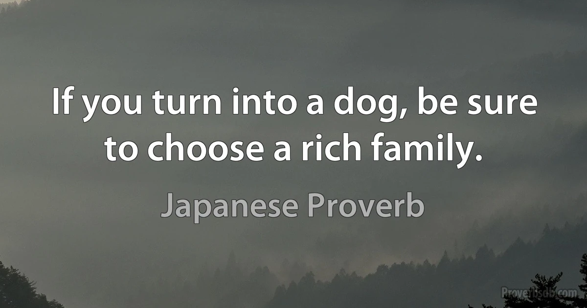 If you turn into a dog, be sure to choose a rich family. (Japanese Proverb)