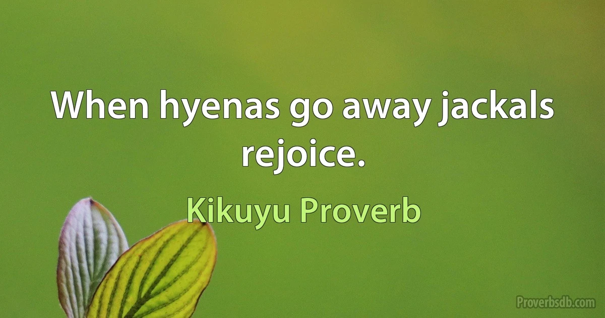 When hyenas go away jackals rejoice. (Kikuyu Proverb)