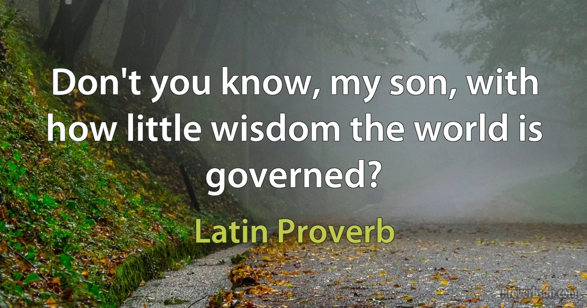 Don't you know, my son, with how little wisdom the world is governed? (Latin Proverb)