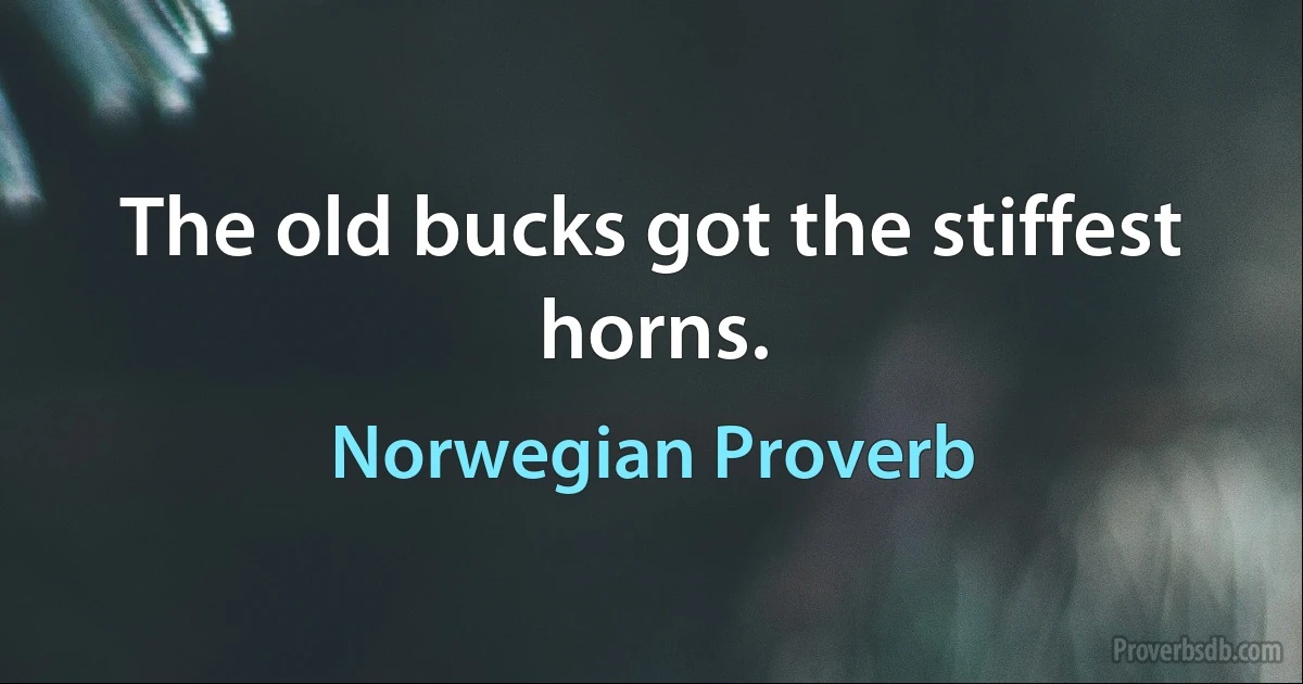 The old bucks got the stiffest horns. (Norwegian Proverb)