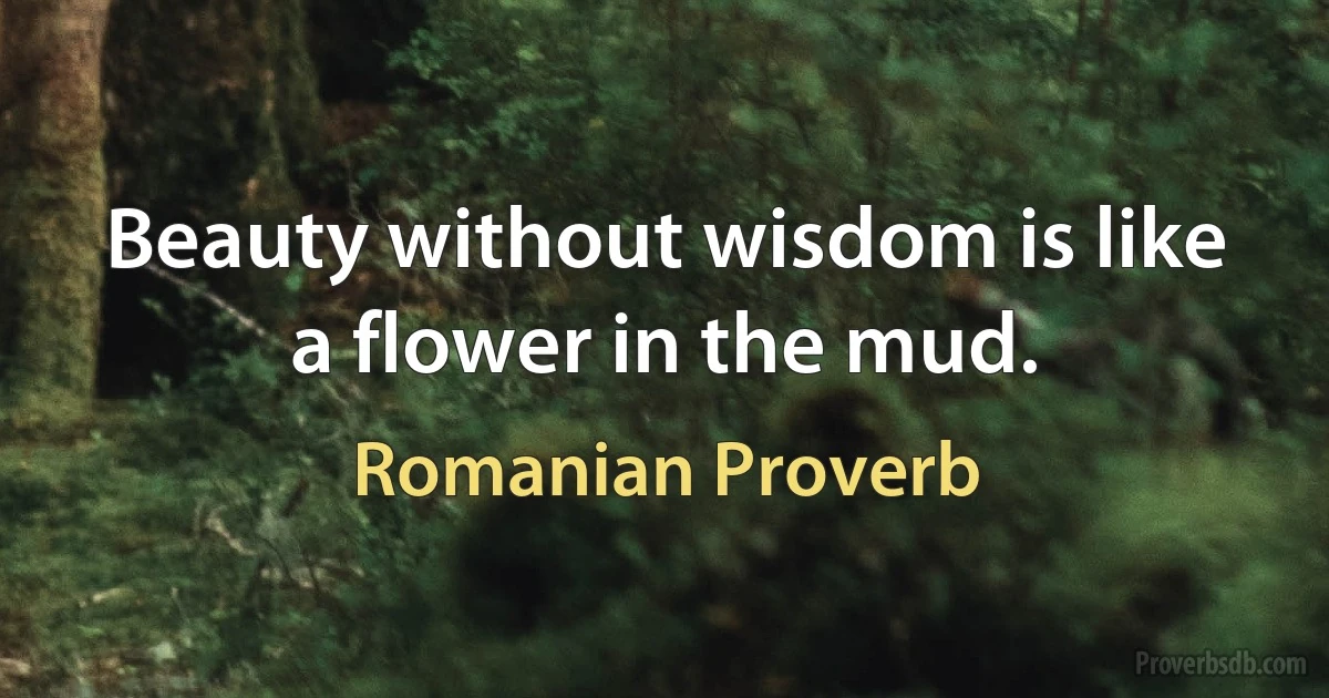 Beauty without wisdom is like a flower in the mud. (Romanian Proverb)