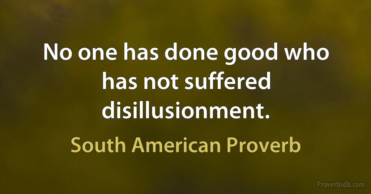 No one has done good who has not suffered disillusionment. (South American Proverb)