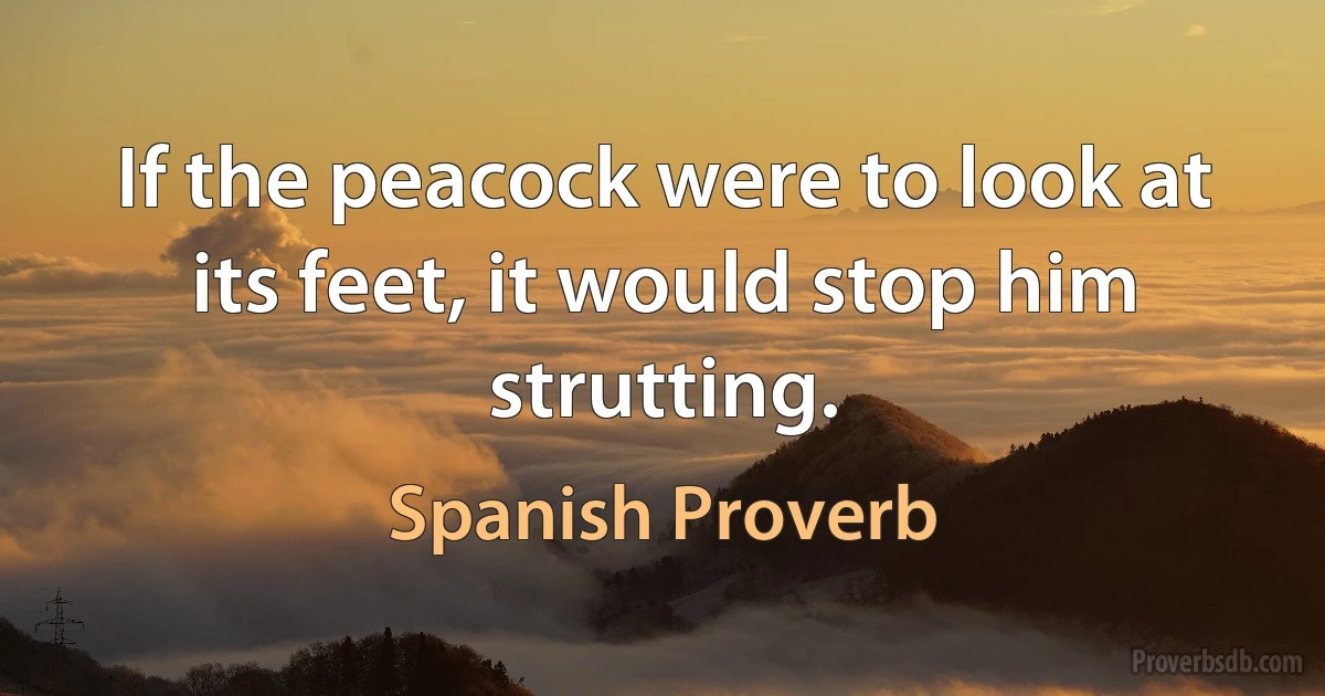 If the peacock were to look at its feet, it would stop him strutting. (Spanish Proverb)