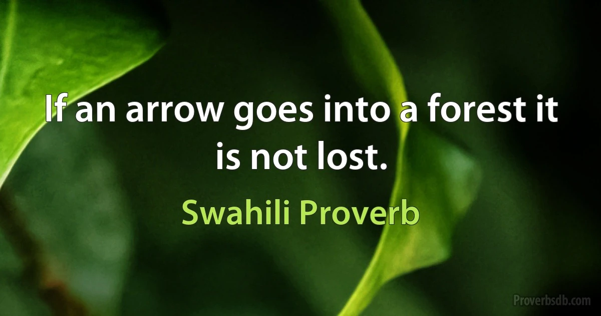 If an arrow goes into a forest it is not lost. (Swahili Proverb)