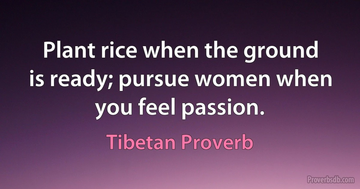 Plant rice when the ground is ready; pursue women when you feel passion. (Tibetan Proverb)