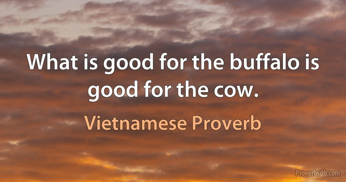 What is good for the buffalo is good for the cow. (Vietnamese Proverb)