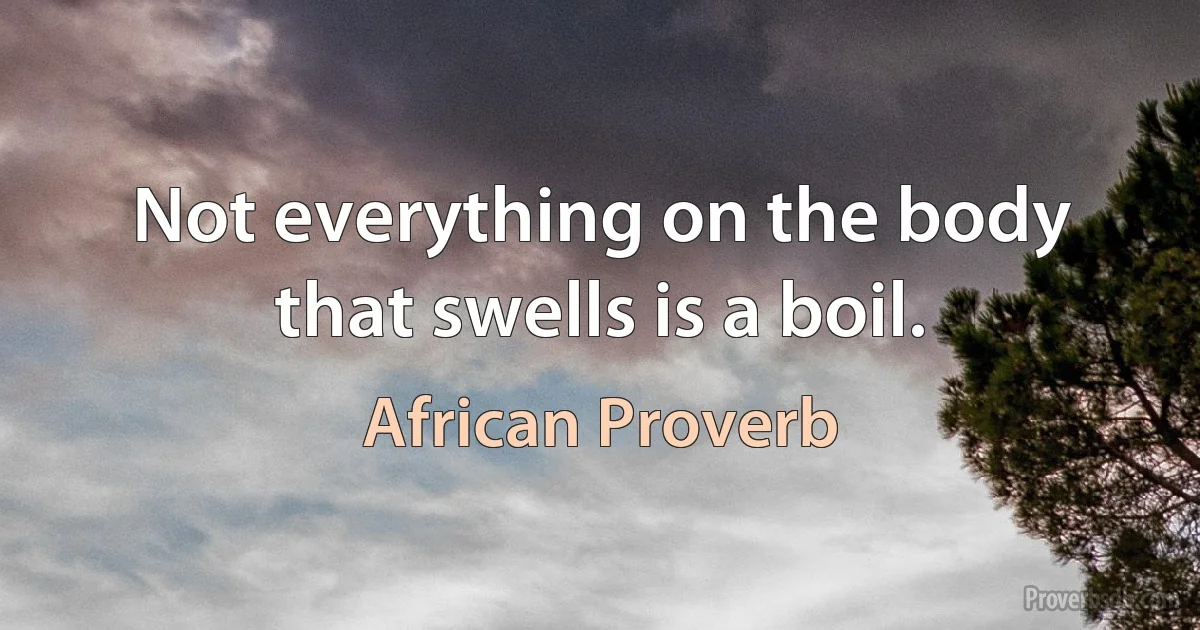 Not everything on the body that swells is a boil. (African Proverb)