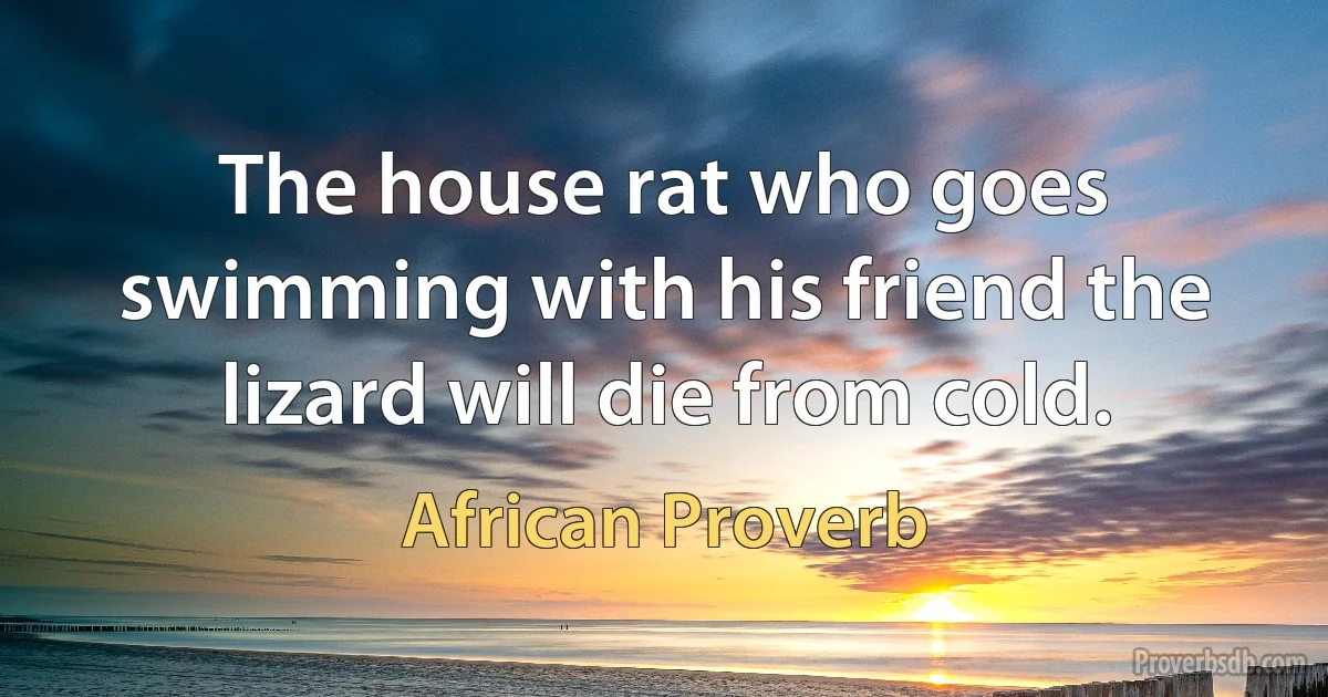 The house rat who goes swimming with his friend the lizard will die from cold. (African Proverb)