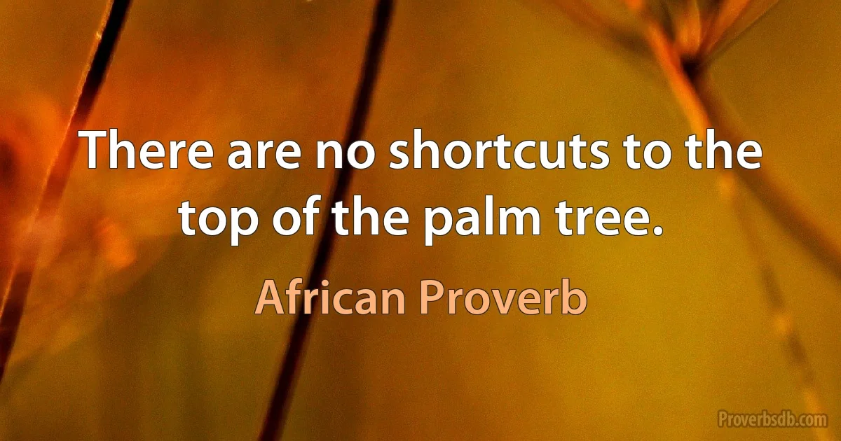 There are no shortcuts to the top of the palm tree. (African Proverb)