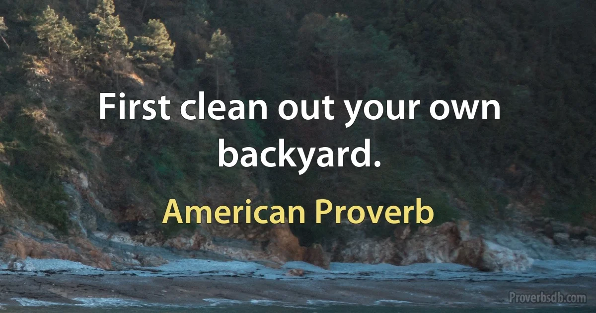 First clean out your own backyard. (American Proverb)