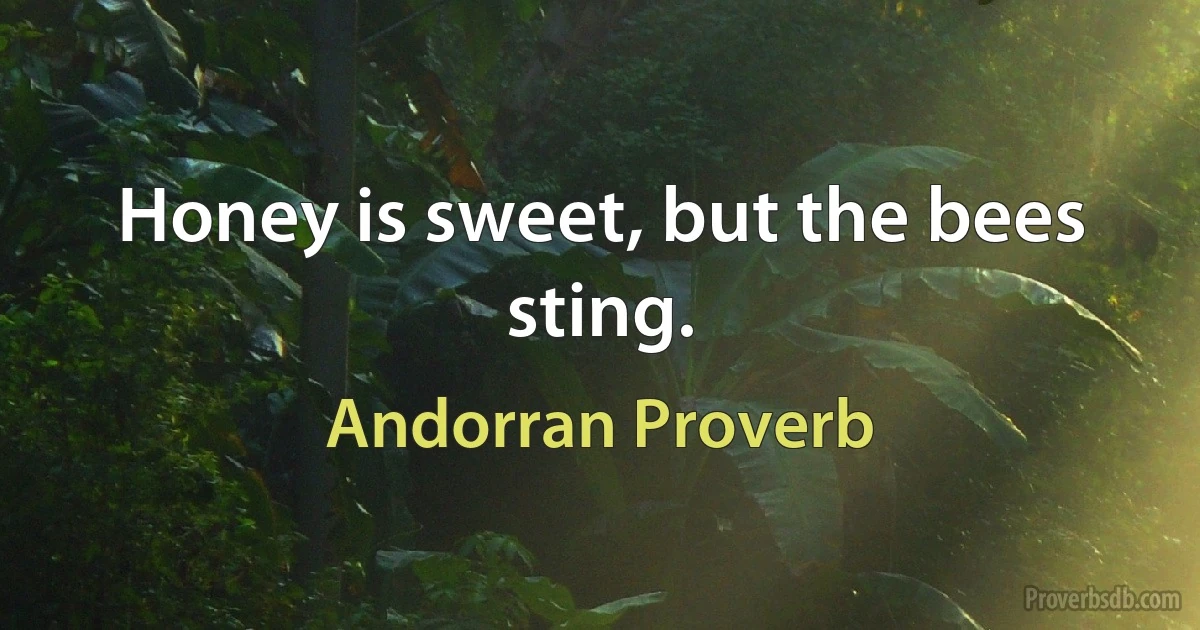 Honey is sweet, but the bees sting. (Andorran Proverb)