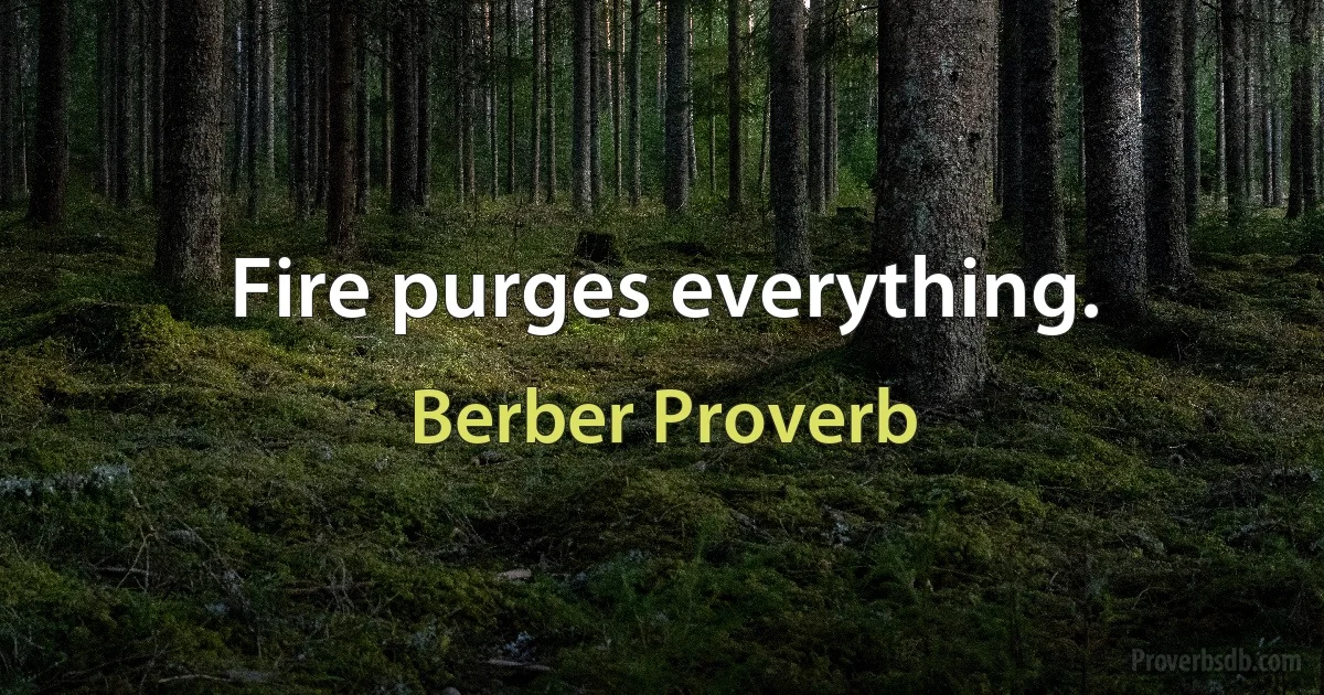 Fire purges everything. (Berber Proverb)