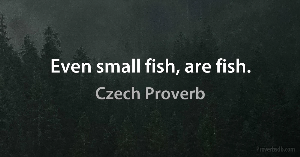 Even small fish, are fish. (Czech Proverb)