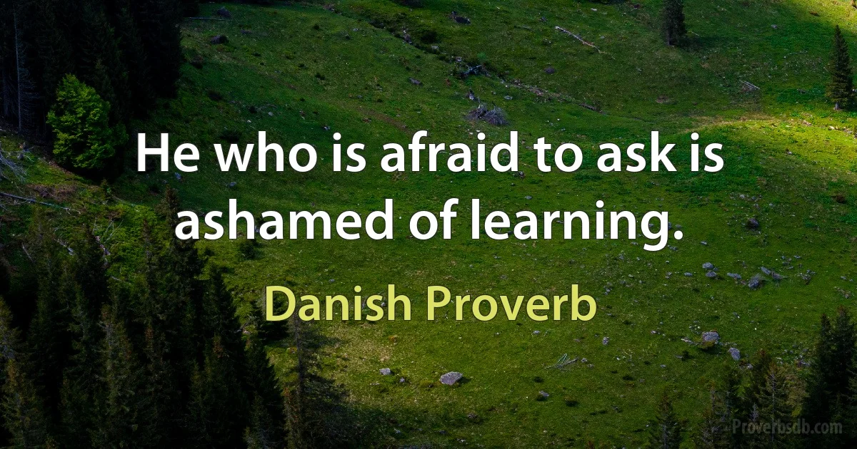 He who is afraid to ask is ashamed of learning. (Danish Proverb)