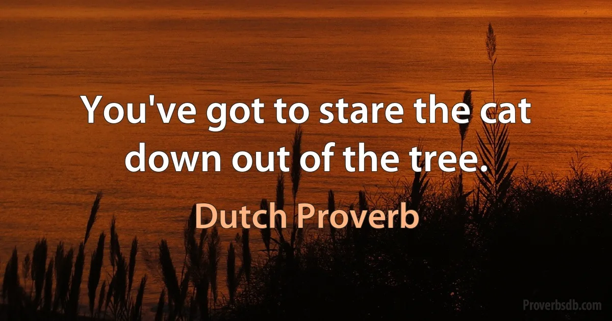 You've got to stare the cat down out of the tree. (Dutch Proverb)