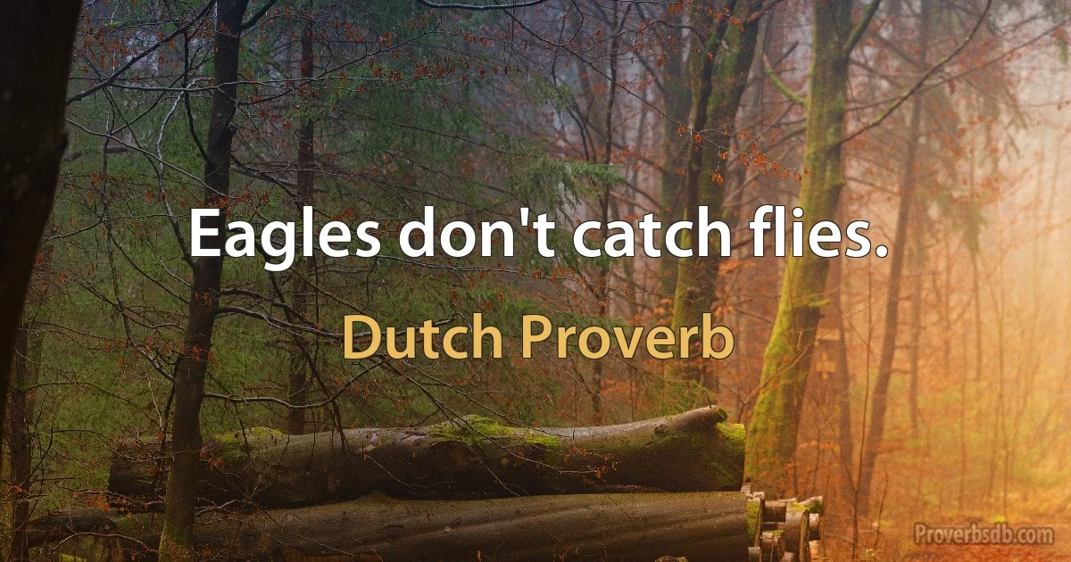 Eagles don't catch flies. (Dutch Proverb)