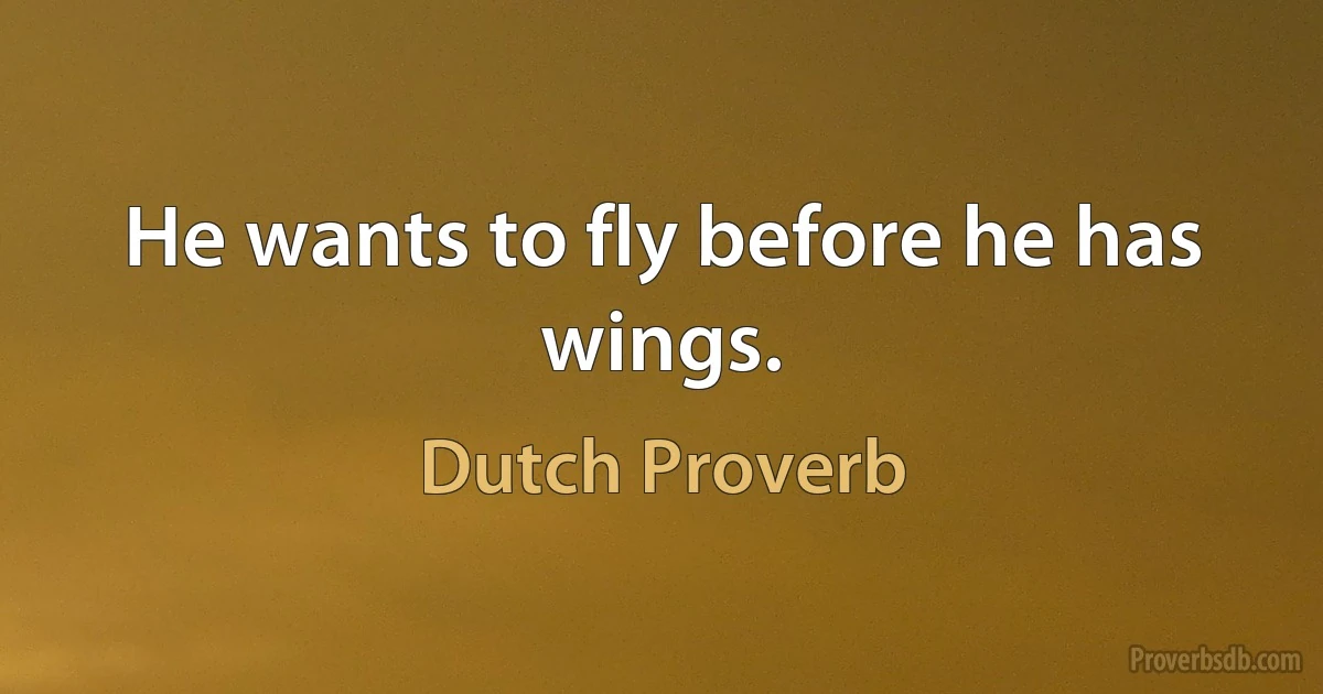 He wants to fly before he has wings. (Dutch Proverb)