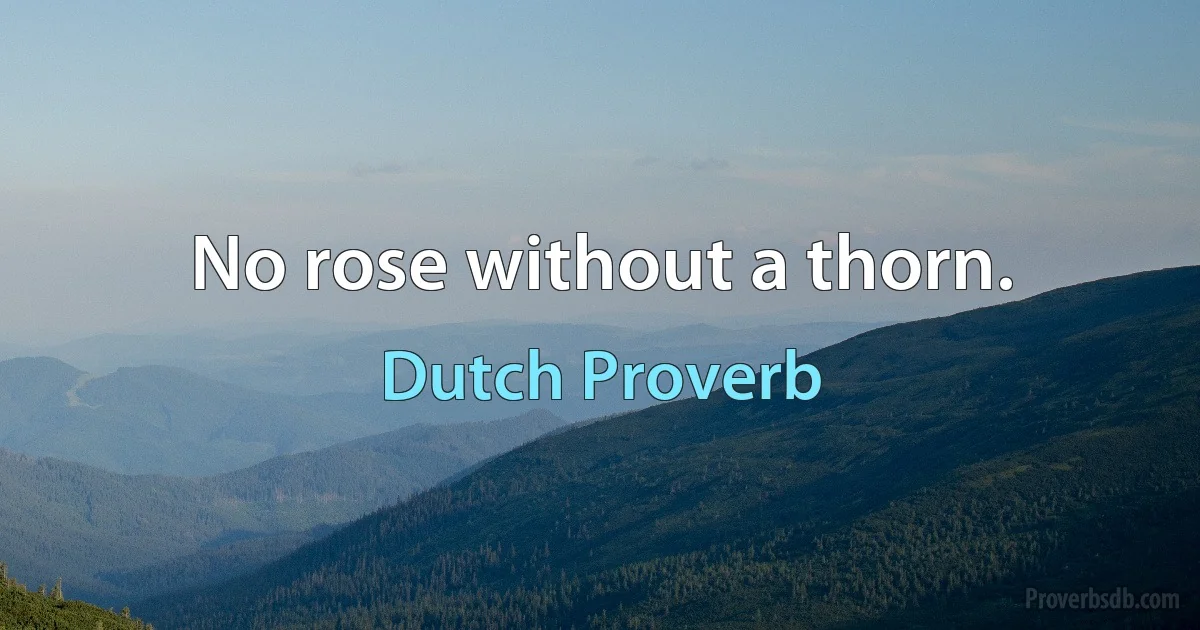 No rose without a thorn. (Dutch Proverb)