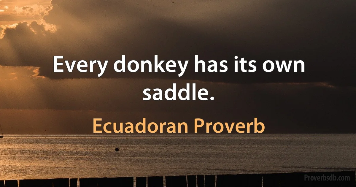 Every donkey has its own saddle. (Ecuadoran Proverb)